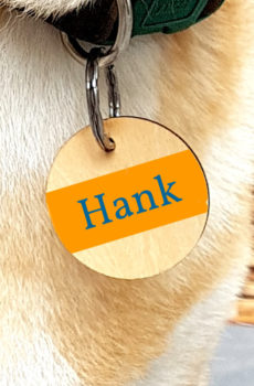 Designer pet tags