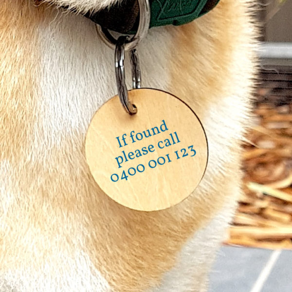 Designer pet tags