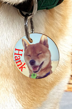 Designer photo pet tags