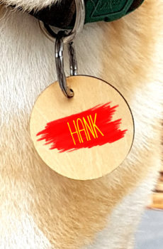 Designer pet tags