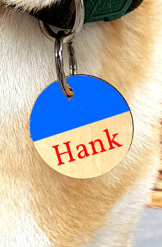 Designer pet tags