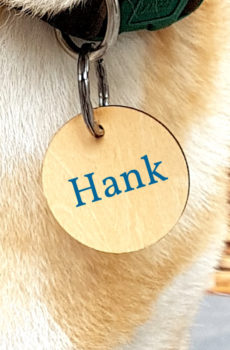 Designer pet tags